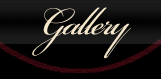 Leslie Bee Gallery